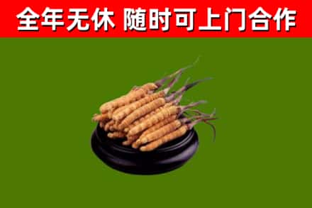 乐山市烟酒回收冬虫夏草.jpg